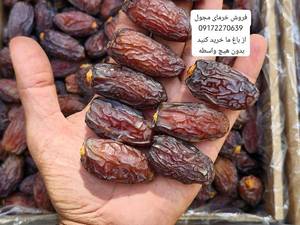 خرید خرمای عمده در قیرو کارزین