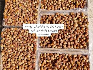 فروش خرما زاهدی درجه یک در قیروکارزین