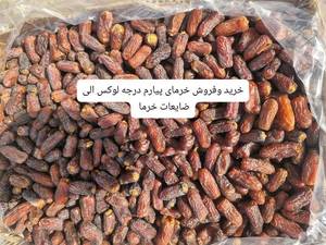 خرید عمده خرما پیارم در قیرو کارزین