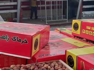 تولید و فروش خرما در فارس
