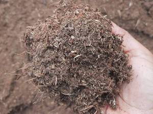 خرید و قیمت پوشال و مالچ‌های آلی در چالوس 