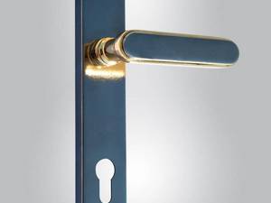 خرید دستگیره درب اتاق ویراقالات کابینت  در جم