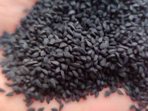 خرید عمده سیاه دانه مرغوب در گلستان