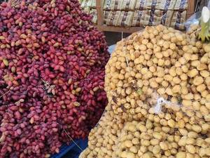 خرید رطب مضافتی