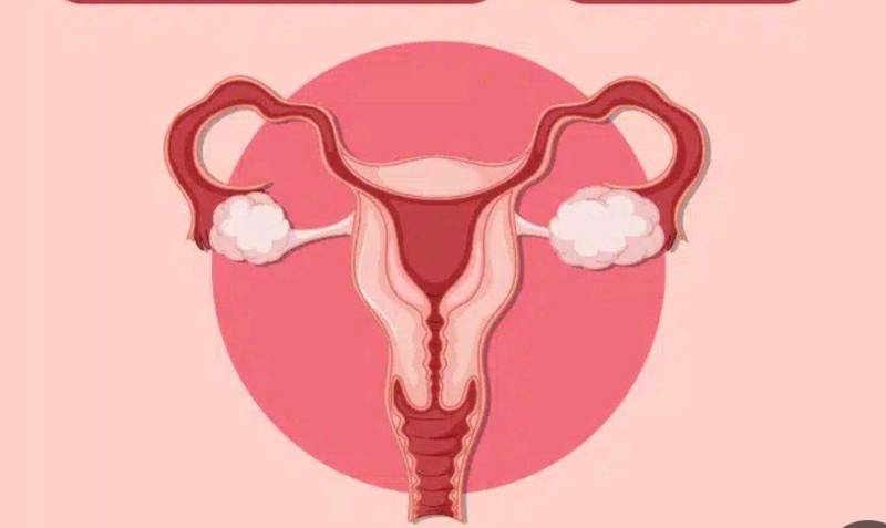 بهترین دکتر متخصص درمان زگیل تناسلی در خرم اباد