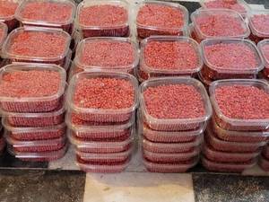 تولید کننده زرشک لوکس در ایران