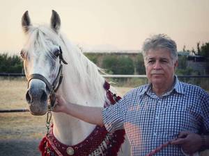 مرکز پرورش اسب کرد در سراب کرمانشاه