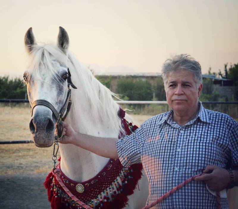 مرکز پرورش اسب کرد در سراب کرمانشاه