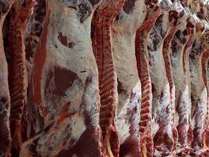 مرکز فروش عمده گوشت گوسفندی اصفهان