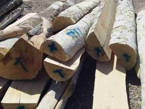 خرید و فروش انواع چوب گردو ،چنار و توسکا از سراسر کشور