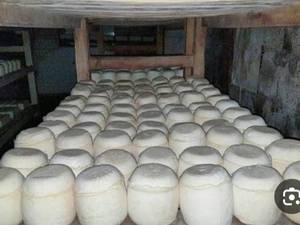 محصولات ارگانیک را از کجا تهیه کنیم