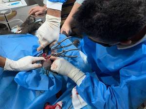 داروخانه دامپزشکی شهر بابک