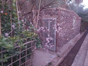 اقامتگاه بوم گردی حرفه ای شهداد کرمان