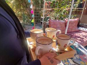 شماره تماس اقامتگاه کلوت شهداد کرمان