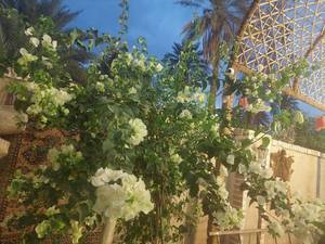 رستوران باغ بومگردی کلوت های شهداد