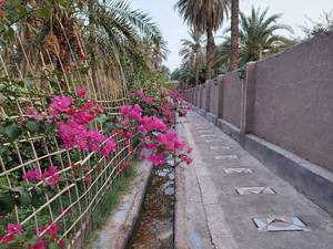 اجاره بومگردی کرمان