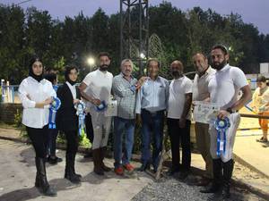 آموزش حرفه‌ای سوارکاری در دماوند