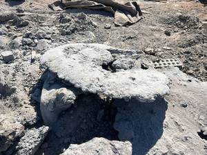 خرسک فولادی چیست و چرا به آن نیاز داریم؟