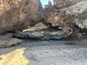 خرید عمده خرسک فولادی پیکورخورده 