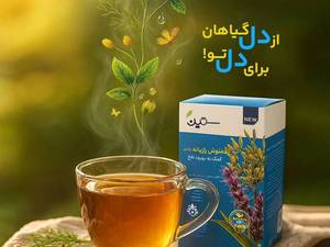 خرید و قیمت دمنوش ترکیبی رازیانه در قزوین