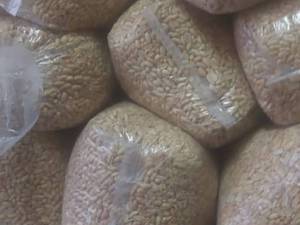 بادام زمینی مناسب برای کره گیری در رشت