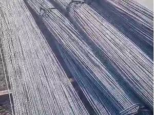 قیمت هر کیلو خاموت در لنگرود