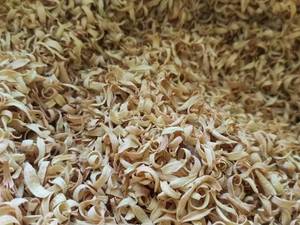 خرید عمده بهار نارنج با قیمت مناسب گرگان