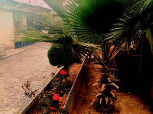 کمپ ترک اعتیاد غیردولتی در شهر ری