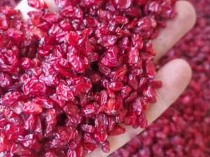 تولیدکننده زرشک تازه و مرغوب 