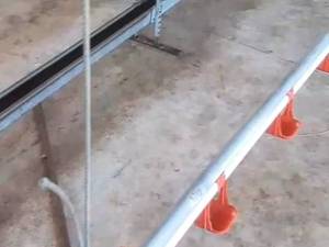 فروش تجهیزات مرغداری در سیستان و بلوچستان