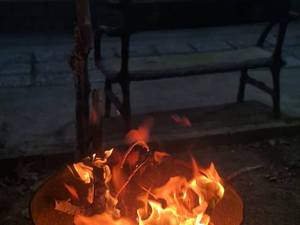 گشت سوارکاری در شیراز