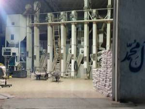 تولیدی برنج عنبربو در اهواز