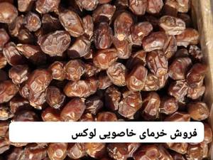 خرید خرما پیارم درجه یک در شیراز