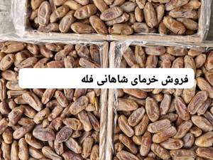 خرما شاهانی درجه یک در شیراز