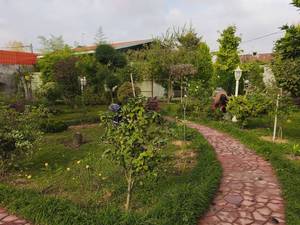 طراحی باغچه ویلا مدرن در گیلان