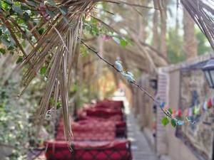 شماره تماس اقامتگاه کلوت شهداد کرمان