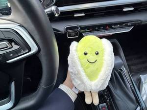 فروش عروسک آلبالو وارداتی با کیفیت بالا در ورامین