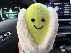 فروش عروسک آلبالو وارداتی با کیفیت بالا در ورامین