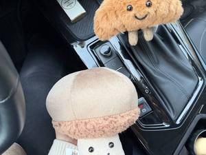 قیمت قارچ Jellycat برای خرید عمده در ورامین