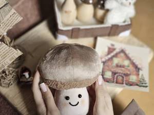 قیمت قارچ Jellycat برای خرید عمده در ورامین