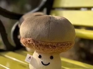 قیمت قارچ Jellycat برای خرید عمده در ورامین