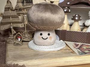 قیمت قارچ Jellycat برای خرید عمده در ورامین