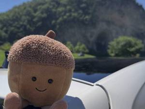 فروش عروسک بلوط فانتزی با قیمت مناسب ورامین