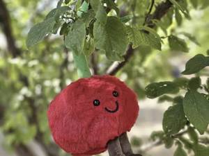 خرید عمده عروسک آلبالو Jellycat فروشگاه‌ها ورامین