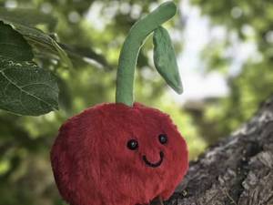 خرید عمده عروسک آلبالو Jellycat فروشگاه‌ها ورامین