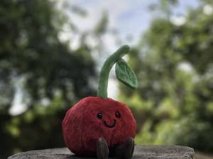 خرید عمده عروسک آلبالو Jellycat فروشگاه‌ها ورامین