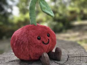 خرید عمده عروسک آلبالو Jellycat فروشگاه‌ها ورامین