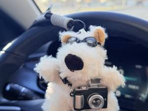 خرید و سفارش چارم بگ هاپو و پاندا در کرج