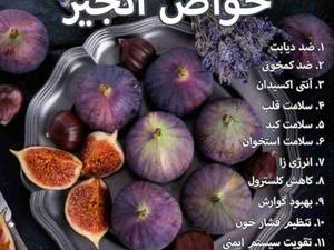 خواص انجیر