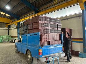 قیمت سینی نشا برنج در بابل